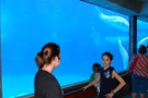 Marine Land in Niagara Falls