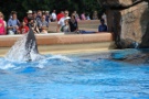 Marine Land in Niagara Falls