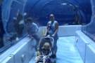 Aquarium de Québec