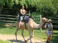 Zoo de Granby
