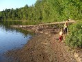 Réserve Faunique de Papineau-Labelle